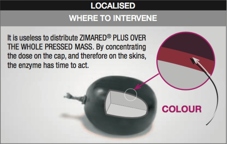 enzyme extration procedure - Localisation